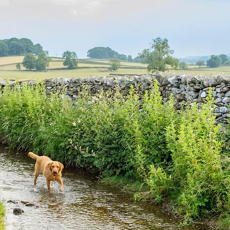 Tatil Evi Mainsfield House - Luxury Group